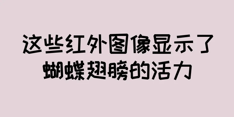 这些红外图像显示了蝴蝶翅膀的活力