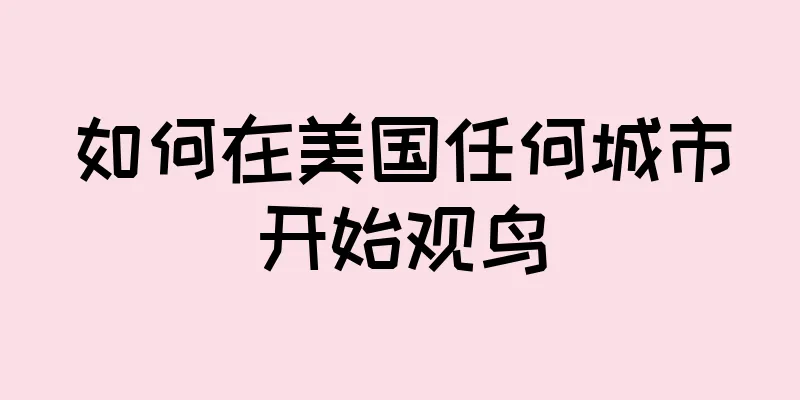 如何在美国任何城市开始观鸟