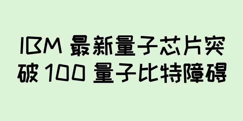 IBM 最新量子芯片突破 100 量子比特障碍