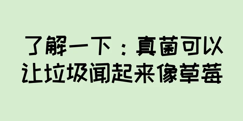 了解一下：真菌可以让垃圾闻起来像草莓