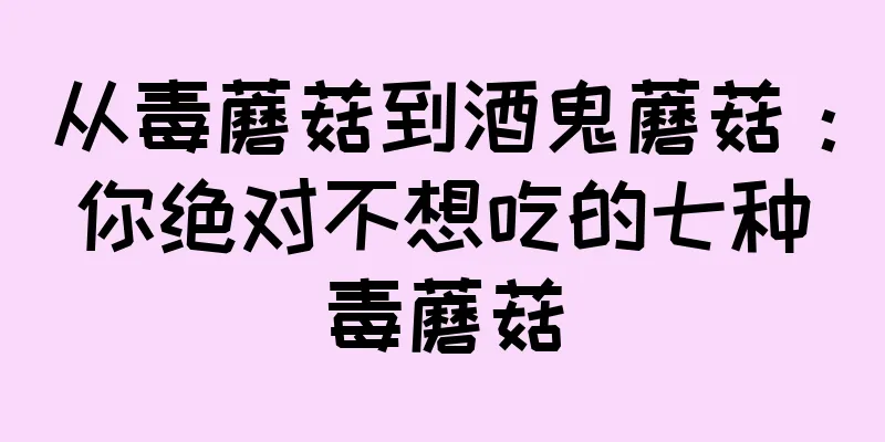 从毒蘑菇到酒鬼蘑菇：你绝对不想吃的七种毒蘑菇