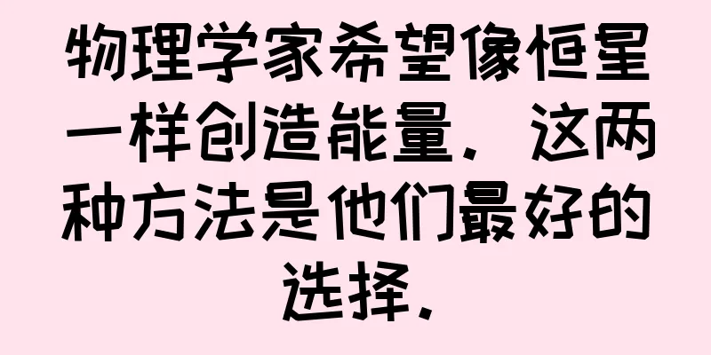 物理学家希望像恒星一样创造能量。这两种方法是他们最好的选择。