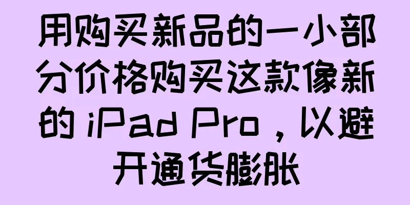 用购买新品的一小部分价格购买这款像新的 iPad Pro，以避开通货膨胀