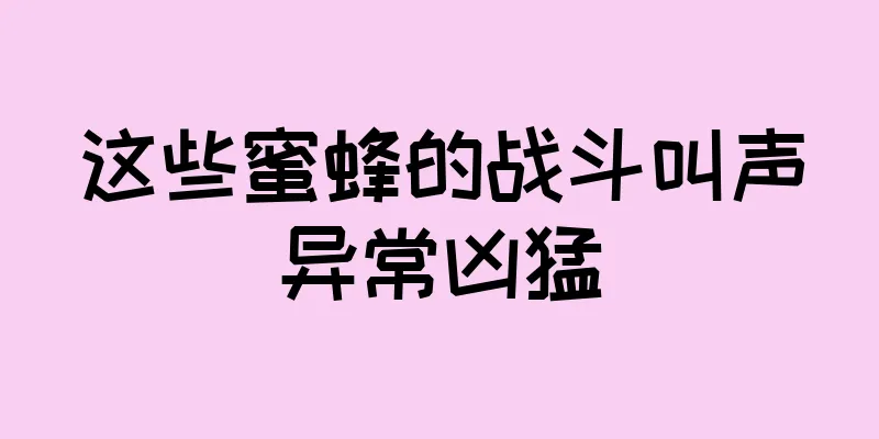 这些蜜蜂的战斗叫声异常凶猛