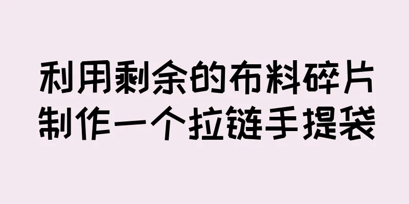 利用剩余的布料碎片制作一个拉链手提袋