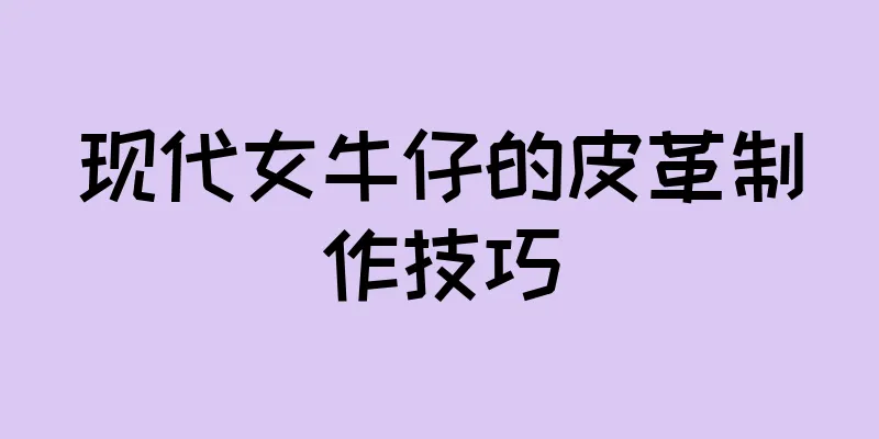 现代女牛仔的皮革制作技巧