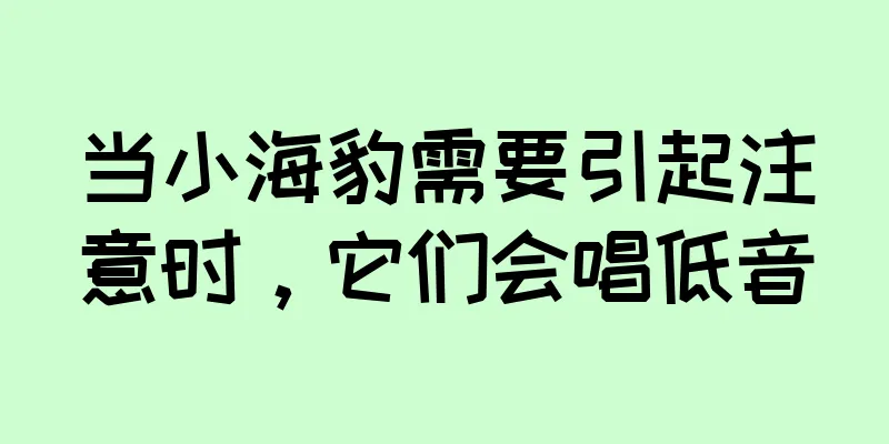 当小海豹需要引起注意时，它们会唱低音