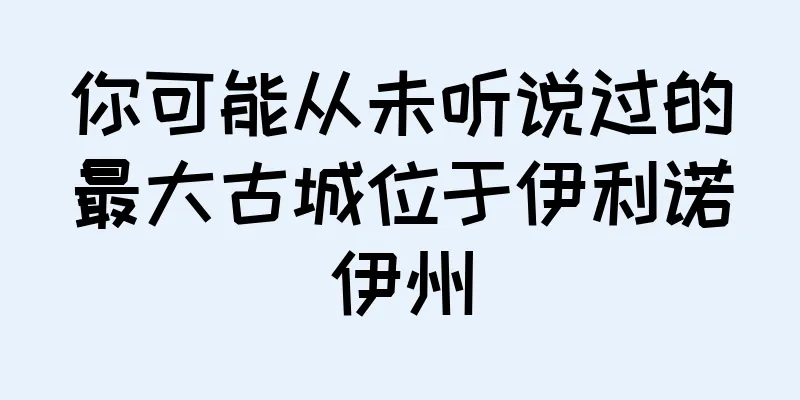 你可能从未听说过的最大古城位于伊利诺伊州