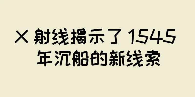 X 射线揭示了 1545 年沉船的新线索