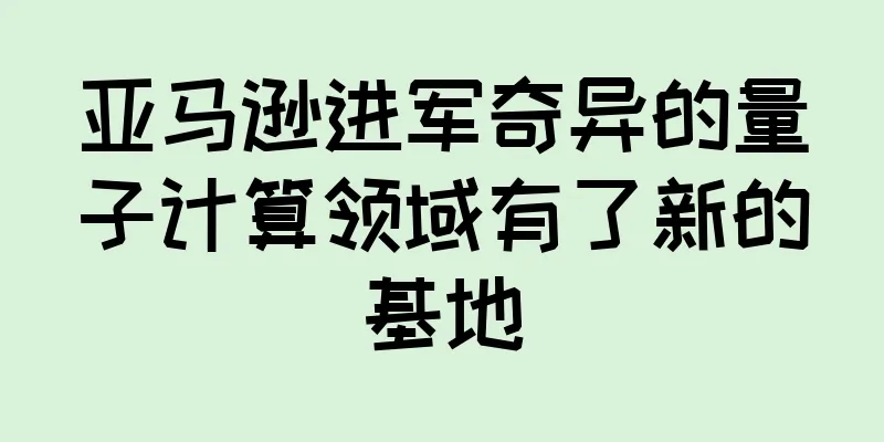 亚马逊进军奇异的量子计算领域有了新的基地