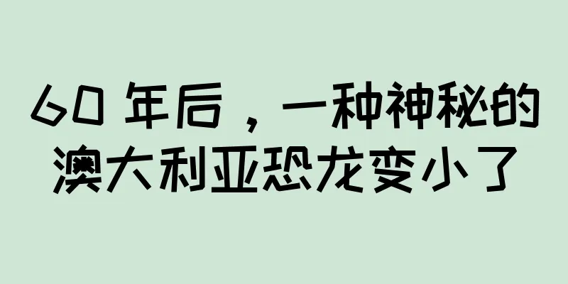 60 年后，一种神秘的澳大利亚恐龙变小了