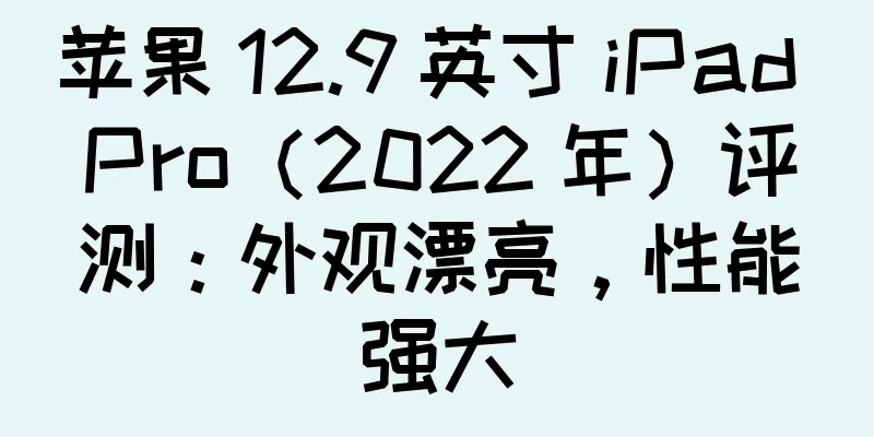 苹果 12.9 英寸 iPad Pro（2022 年）评测：外观漂亮，性能强大