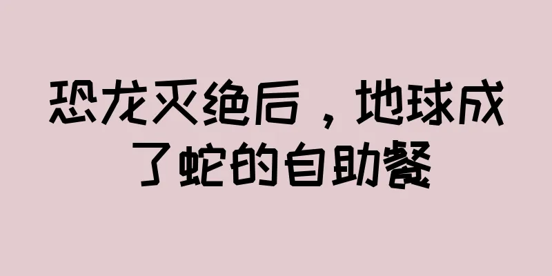恐龙灭绝后，地球成了蛇的自助餐