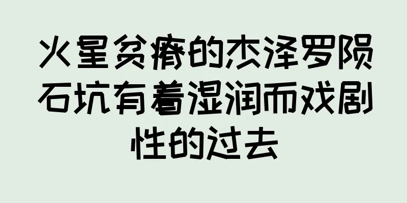 火星贫瘠的杰泽罗陨石坑有着湿润而戏剧性的过去