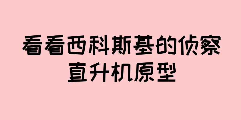 看看西科斯基的侦察直升机原型