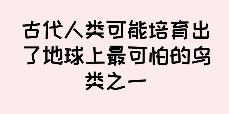 古代人类可能培育出了地球上最可怕的鸟类之一