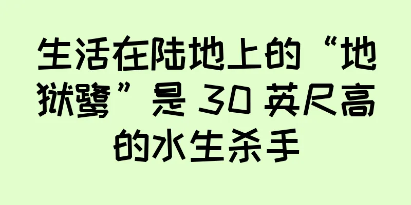 生活在陆地上的“地狱鹭”是 30 英尺高的水生杀手