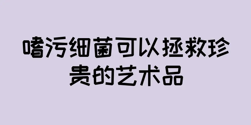 嗜污细菌可以拯救珍贵的艺术品