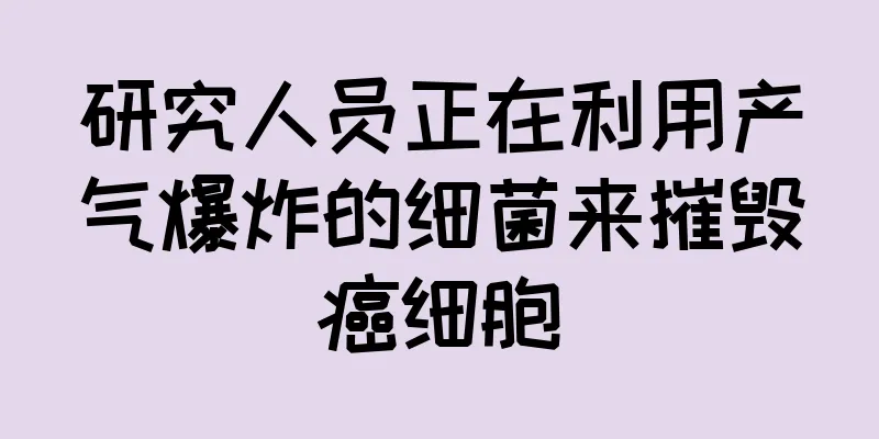 研究人员正在利用产气爆炸的细菌来摧毁癌细胞