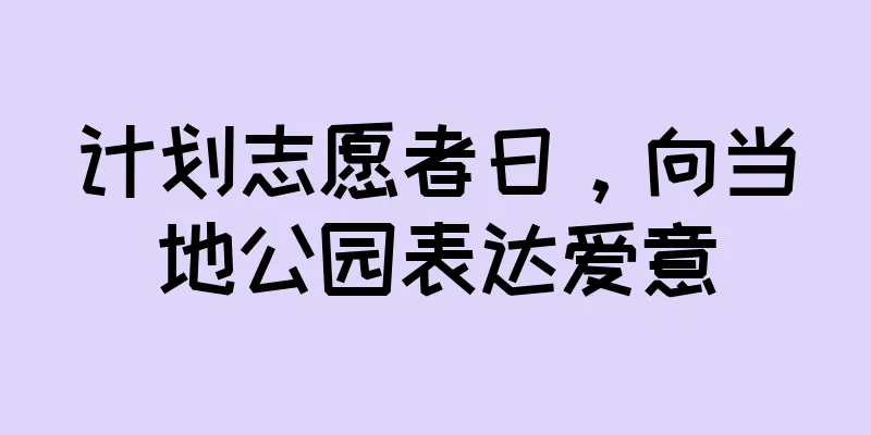 计划志愿者日，向当地公园表达爱意