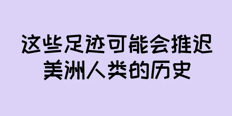 这些足迹可能会推迟美洲人类的历史