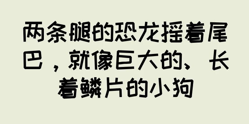 两条腿的恐龙摇着尾巴，就像巨大的、长着鳞片的小狗