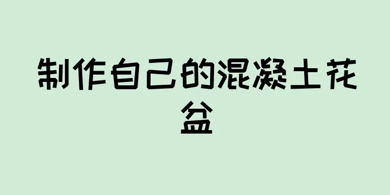 制作自己的混凝土花盆