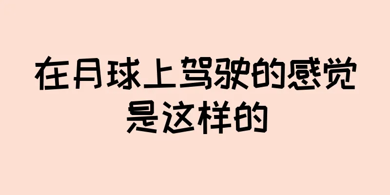 在月球上驾驶的感觉是这样的