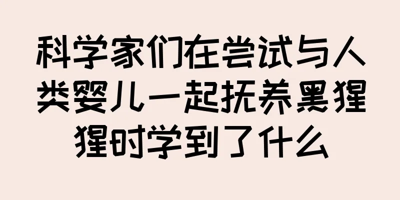 科学家们在尝试与人类婴儿一起抚养黑猩猩时学到了什么