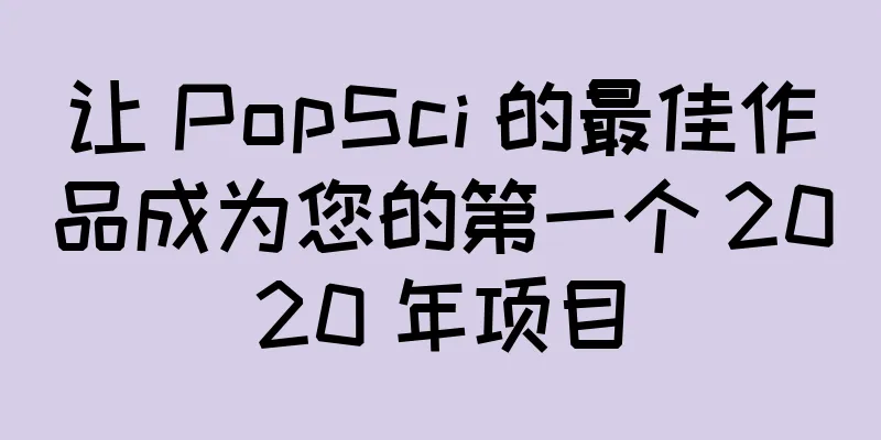让 PopSci 的最佳作品成为您的第一个 2020 年项目