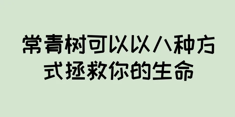 常青树可以以八种方式拯救你的生命
