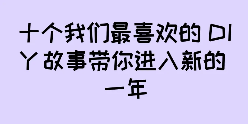 十个我们最喜欢的 DIY 故事带你进入新的一年