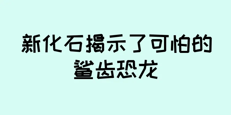 新化石揭示了可怕的鲨齿恐龙