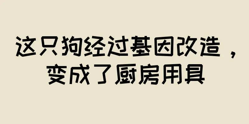 这只狗经过基因改造，变成了厨房用具