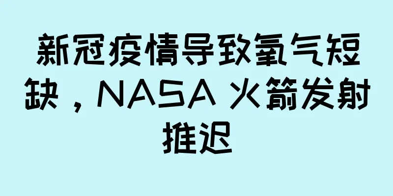 新冠疫情导致氧气短缺，NASA 火箭发射推迟