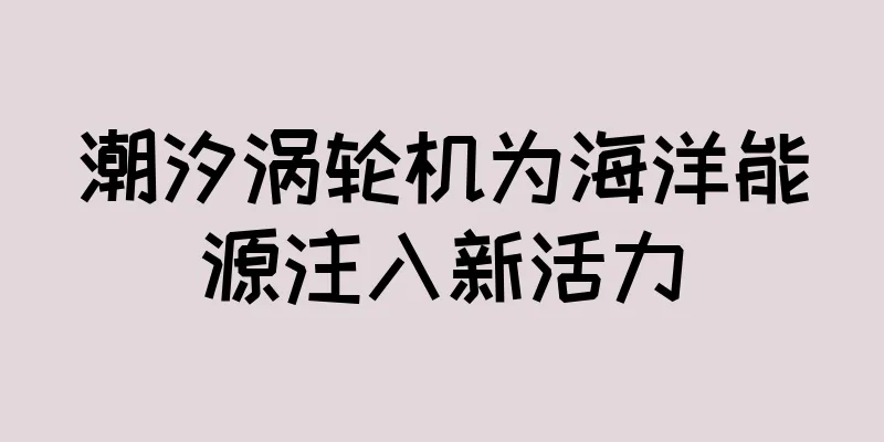 潮汐涡轮机为海洋能源注入新活力