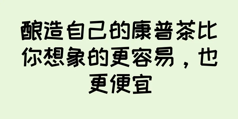 酿造自己的康普茶比你想象的更容易，也更便宜