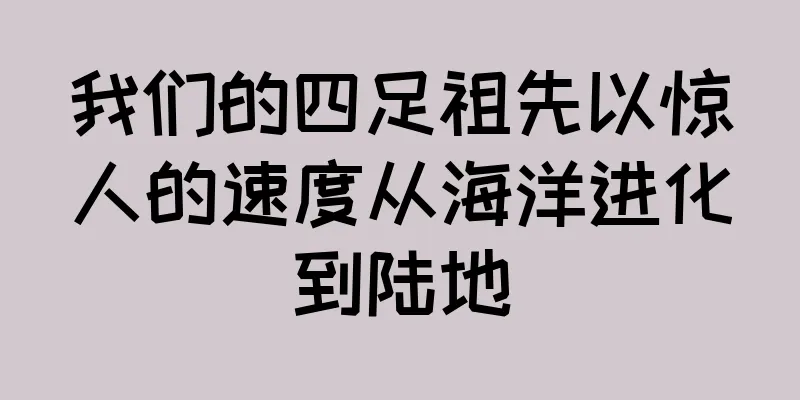 我们的四足祖先以惊人的速度从海洋进化到陆地