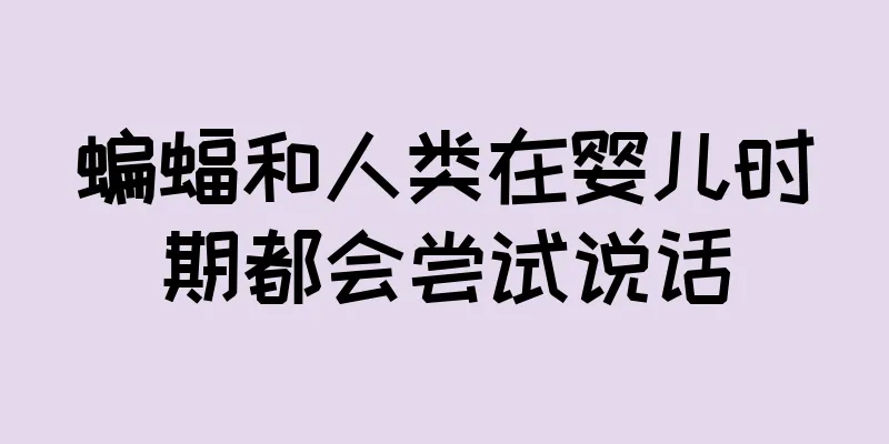蝙蝠和人类在婴儿时期都会尝试说话