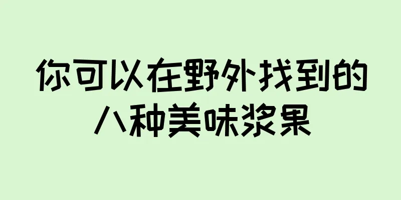 你可以在野外找到的八种美味浆果