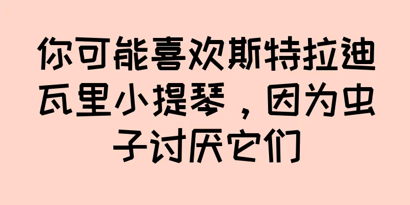 你可能喜欢斯特拉迪瓦里小提琴，因为虫子讨厌它们