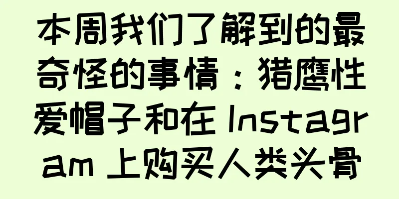本周我们了解到的最奇怪的事情：猎鹰性爱帽子和在 Instagram 上购买人类头骨