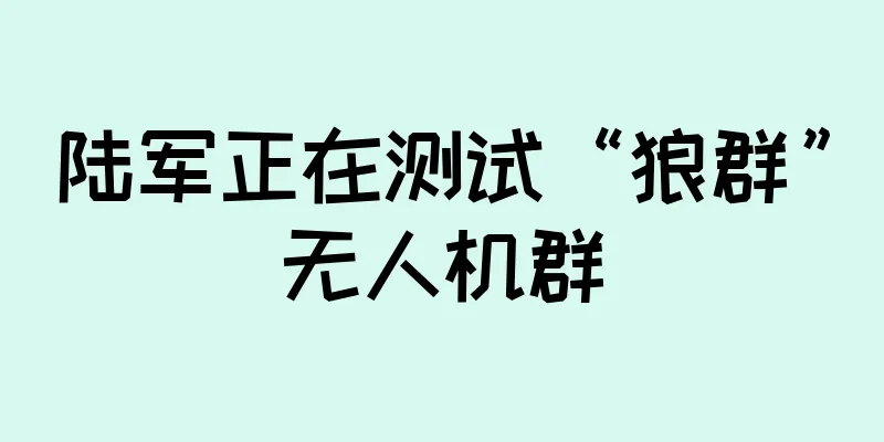 陆军正在测试“狼群”无人机群
