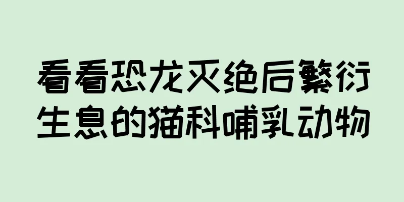 看看恐龙灭绝后繁衍生息的猫科哺乳动物