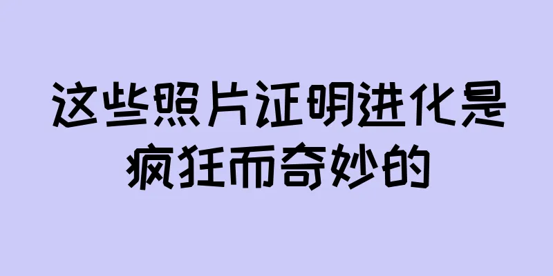 这些照片证明进化是疯狂而奇妙的