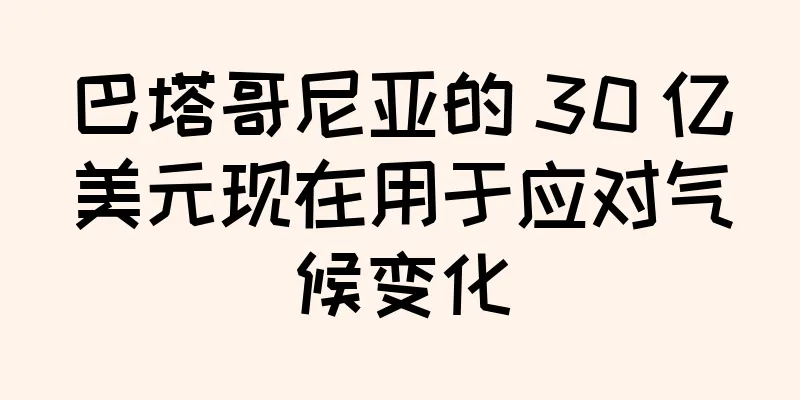 巴塔哥尼亚的 30 亿美元现在用于应对气候变化