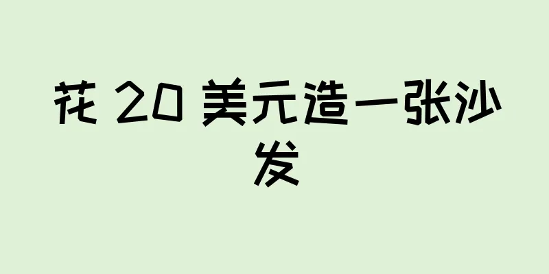 花 20 美元造一张沙发
