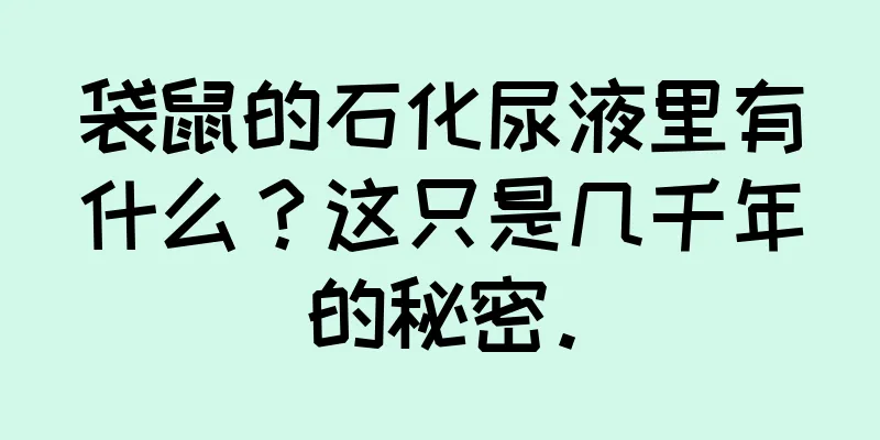 袋鼠的石化尿液里有什么？这只是几千年的秘密。