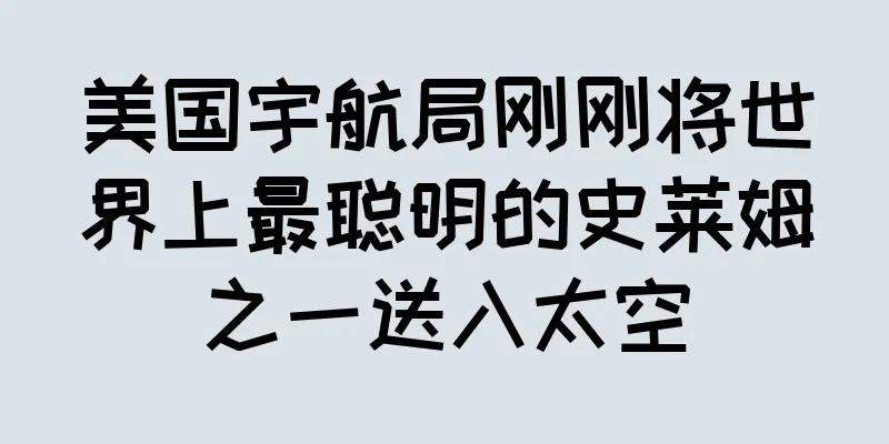 美国宇航局刚刚将世界上最聪明的史莱姆之一送入太空
