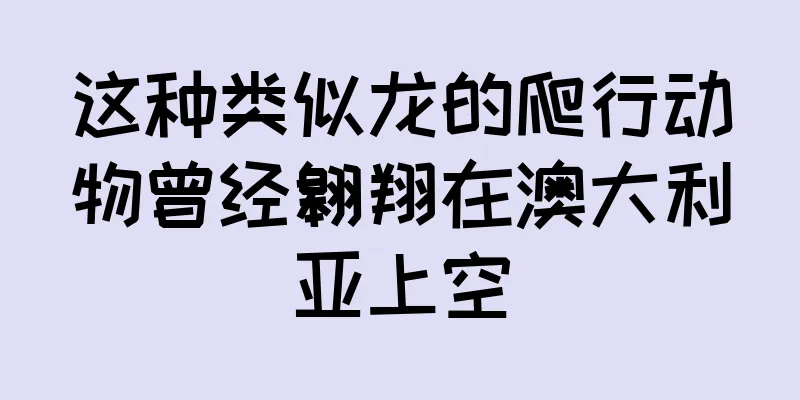 这种类似龙的爬行动物曾经翱翔在澳大利亚上空
